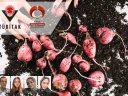 Agrivision Projesi T&Uuml;BİTAK 2209-A &Uuml;niversite &Ouml;ğrencileri Araştırma Projeleri Destekleme Programı Kapsamında Destek Almaya Hak Kazandı