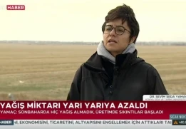 Bitkisel Üretim ve Teknolojileri Bölümü Öğretim Üyemiz Dr. Sevim Seda Yamaç TRT HABER Kanalında Yayınlanan Sıcak Nokta Programında Kuraklık Konusunda Röportaj Verdi