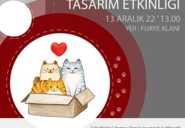 IMBS4505 Gönüllük Çalışması Dersi Kapsamında Kedi Evi Tasarım Etkinliği Gerçekleştirildi