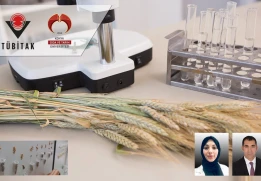 Moleküler Biyoloji ve Genetik Bölümü Öğrencilerimizden Gamze KAYA’nın Projesi "TÜBİTAK 2209-A Destekleme Programı" Kapsamında Destek Almaya Hak Kazandı