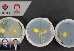 Moleküler Biyoloji ve Genetik Bölümü Öğrencilerimizden Kadir Orhan POTUK’un Projesi "TÜBİTAK 2209-A Destekleme Programı" Kapsamında Destek Almaya Hak Kazandı