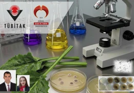 Moleküler Biyoloji ve Genetik Bölümü Öğrencilerimizden Şevval TURAN’nın Projesi "TÜBİTAK 2209-A Destekleme Programı" Kapsamında Destek Almaya Hak Kazandı