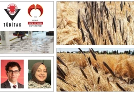 Moleküler Biyoloji ve Genetik Bölümü Öğrencimiz Esra AKKUŞ’un Projesi "TÜBİTAK 2209-A Programı” Kapsamında Desteklenmeye Hak Kazandı