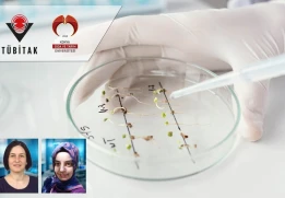 Öğrencimiz Sena Yağcı’nın Projesi TÜBİTAK 2209-A Programı Kapsamında Destek Almaya Hak Kazandı