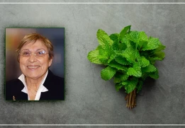 Tarım ve Doğa Bilimleri Fakültesi Bitkisel Üretim ve Teknolojileri Bölümü Öğretim Üyemiz Prof. Dr. Menşure Özgüven Tarafından Islah Edilen “ÖZGÜVEN” Mentol Nanesi Çeşidi Milli Çeşit Listemizde Yerini Almıştır