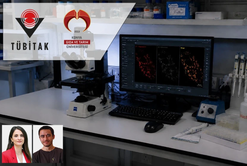 Hiperin Mimetik Peptit Nanofiber Projesi Destek Almaya Hak Kazandı