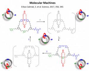 Molek&uuml;ler Biyoloji ve Genetik B&ouml;l&uuml;m&uuml; &Ouml;ğretim &Uuml;yemiz Dr. S&uuml;nd&uuml;s Erbaş &Ccedil;akmak &ldquo;UNESCO-L&rsquo;Or&eacute;al Ulusal Gen&ccedil; Bilim Kadınlarına Destek Bursunu&rdquo; Kazandı