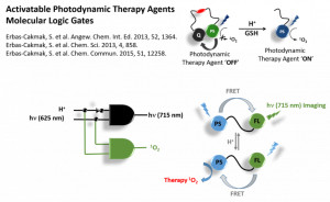 Molek&uuml;ler Biyoloji ve Genetik B&ouml;l&uuml;m&uuml; &Ouml;ğretim &Uuml;yemiz Dr. S&uuml;nd&uuml;s Erbaş &Ccedil;akmak &ldquo;UNESCO-L&rsquo;Or&eacute;al Ulusal Gen&ccedil; Bilim Kadınlarına Destek Bursunu&rdquo; Kazandı