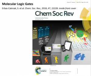 Molek&uuml;ler Biyoloji ve Genetik B&ouml;l&uuml;m&uuml; &Ouml;ğretim &Uuml;yemiz Dr. S&uuml;nd&uuml;s Erbaş &Ccedil;akmak &ldquo;UNESCO-L&rsquo;Or&eacute;al Ulusal Gen&ccedil; Bilim Kadınlarına Destek Bursunu&rdquo; Kazandı