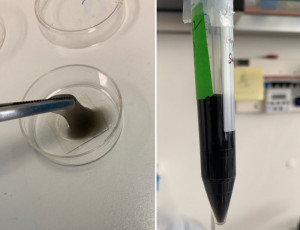 Gıda Mühendisliği Bölümümüzden Dr. Öğr. Üyesi Sevil Çıkrıkcı Erünsal COST Aksiyonu Kapsamında Kazandığı Destek ile İsviçre’de Bulunan EPFL Üniversitesi’nde Araştırma Çalışmaları Gerçekleştirdi