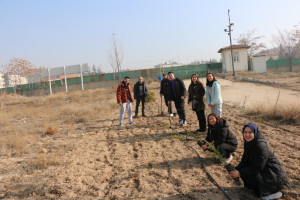 Sosyal Sorumluluk Dersi Kapsamında Fidan Dikim Etkinliği Gerçekleştirildi