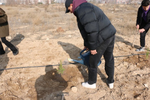 Sosyal Sorumluluk Dersi Kapsamında Fidan Dikim Etkinliği Gerçekleştirildi