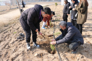 Sosyal Sorumluluk Dersi Kapsamında Fidan Dikim Etkinliği Gerçekleştirildi