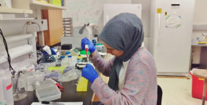 Michigan State Üniversitesi’nde Araştırma Faaliyetlerinde Bulunan Öğrencilerimiz Üniversitemize Döndü