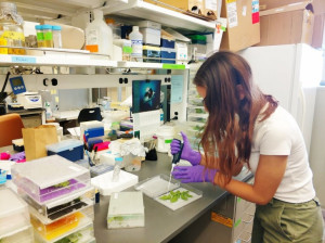 Michigan State Üniversitesi’nde Araştırma Faaliyetlerinde Bulunan Öğrencilerimiz Üniversitemize Döndü