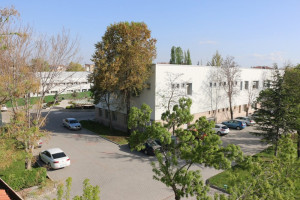 Kamp&uuml;s&uuml;m&uuml;z