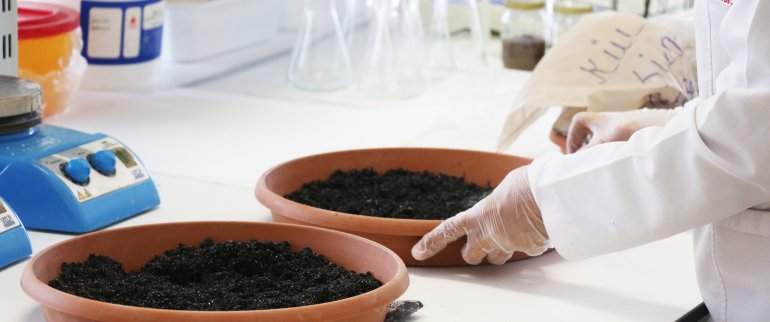 SARGEM Toprak Analiz Laboratuvarı 07.03.2019 tarihinde faaliyete başlamıştır. Toprak Analiz Laboratuvarı TRGM (Tarımsal Amaçlı Toprak, Bitki Ve Sulama Suyu Analiz Laboratuvarlarının Kuruluş, Yetki Ve Denetim Genelgesi: Genelge No: 2013/1) kapsamında kurulmuştur. SARGEM Toprak Analiz Laboratuvarında Kapsam Analizlerinin yanı sıra Toprak, Bitki, Su, Gübre Analizleri AR-GE amaçlı çalışılmaktadır. KGTÜ bünyesinde gerek akademik personelin proje ve AR-GE çalışmaları, sektörün analiz talep ihtiyaçlarına, gerekse öğrencilerimizin laboratuvar uygulamalarına cevap vermektedir.