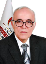 Prof.Dr. Cengiz YILMAZ